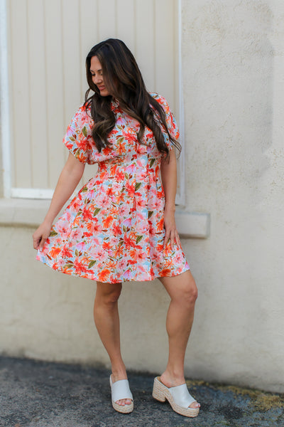 Poppy Collared Dress