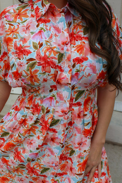 Poppy Collared Dress