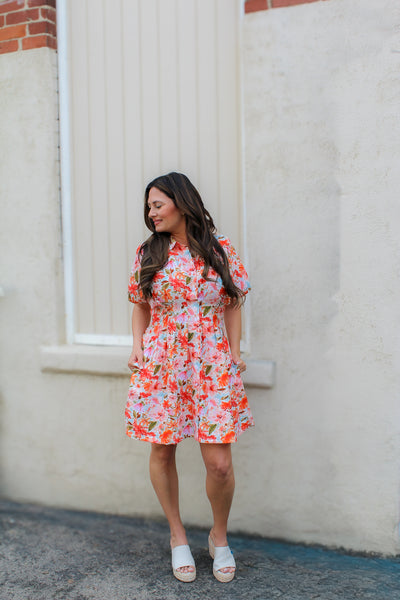 Poppy Collared Dress