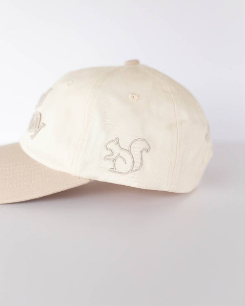 Find the Joy Baseball Hat