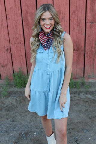 Collette Denim Dress *final few*