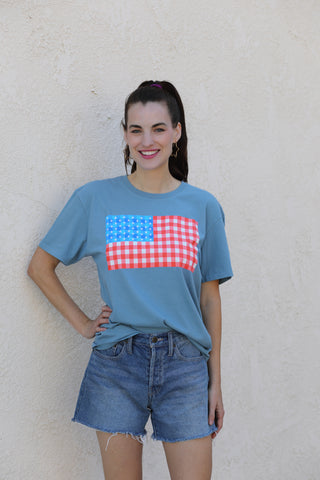 Picnic American Flag Graphic Tee