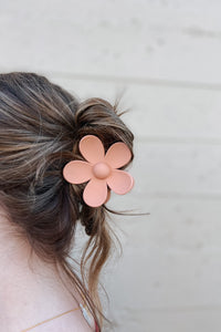 Assorted Hair Claw Clips